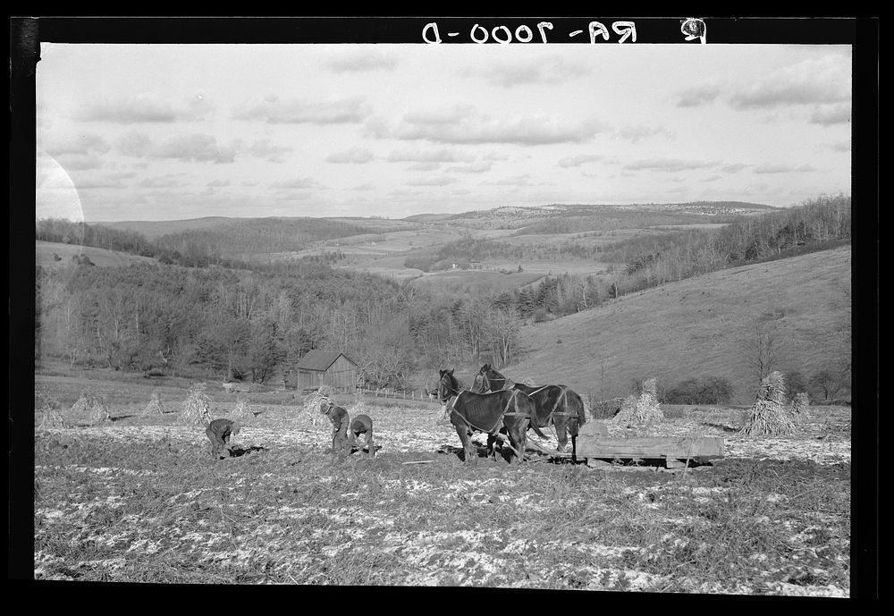 Farm and typical countryside, Brooktondale, New York. Purchased by Resettlement Administration for Finger Lakes project.…
