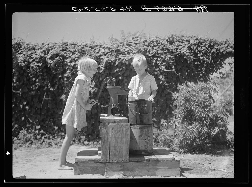 Children of Wichita Gardens, Texas. Sourced from the Library of Congress.