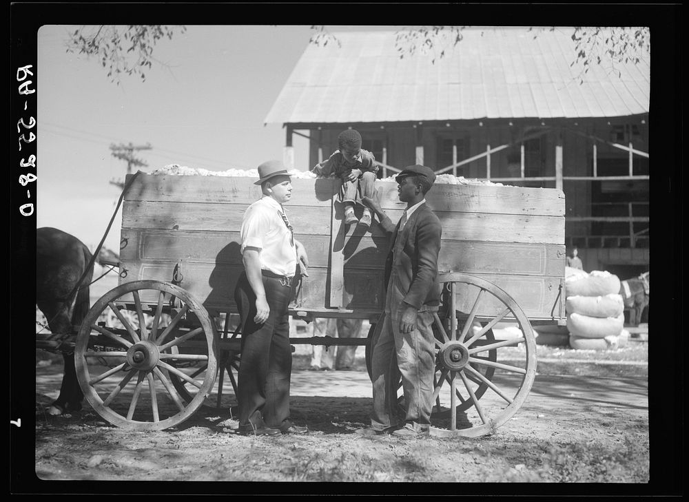 Rehabilitation supervisor discusses the cotton crop with one of his clients. Smithfield, North Carolina. Sourced from the…