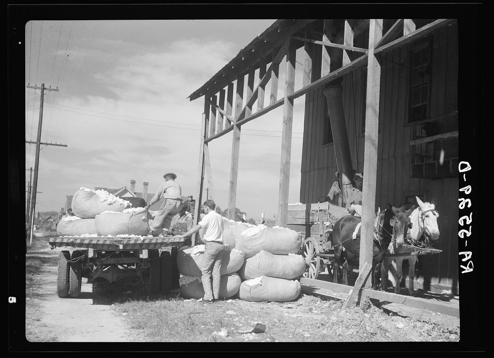 Cotton gin. Smithfield, North Carolina. Sourced from the Library of Congress.