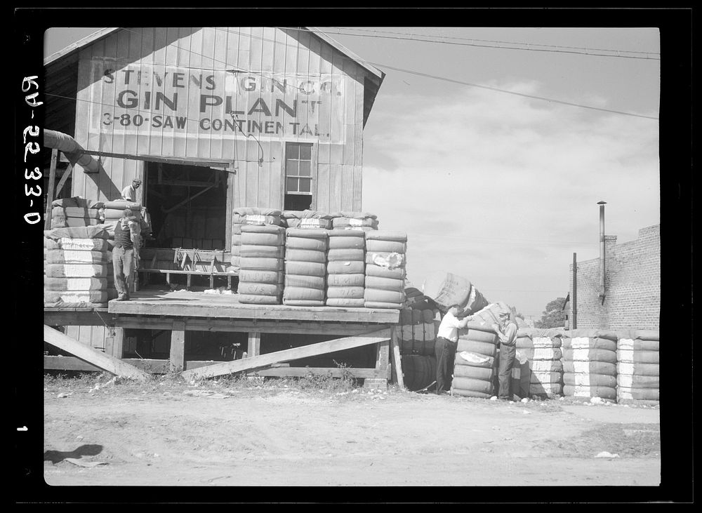Rehabilitation supervisor and client at cotton gin. Smithfield, North Carolina. Sourced from the Library of Congress.