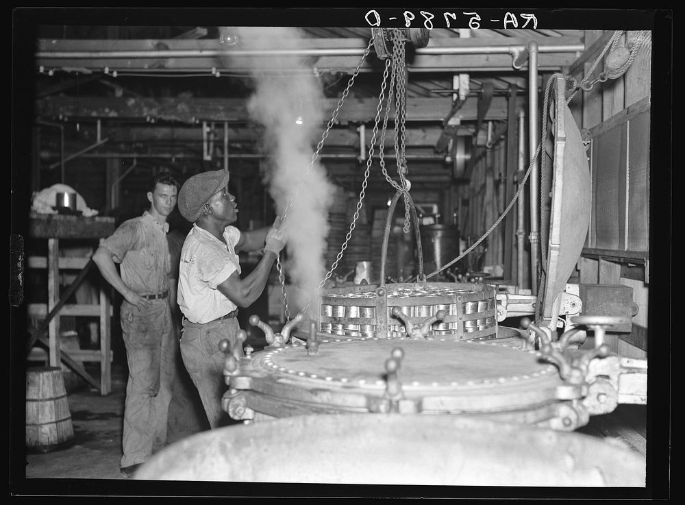 Scene in vegetable canning plant. Dania, Florida. About half of these workers are from other states. Sourced from the…