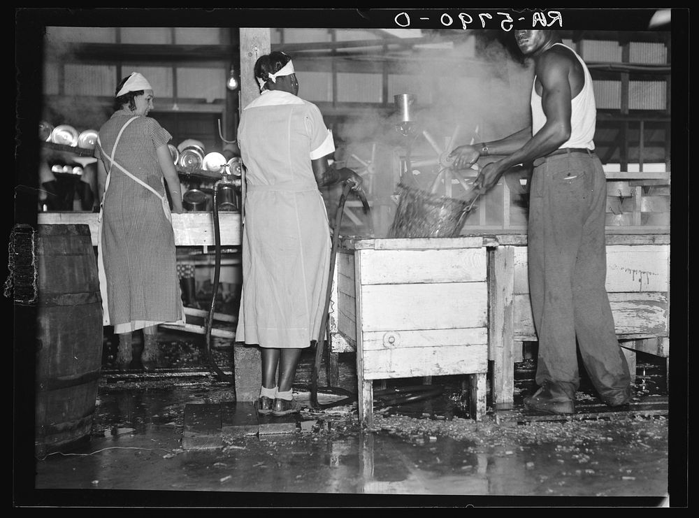 Interior of a vegetable canning plant employing migratory workers near Dania, Florida. The filth-infested water on the floor…