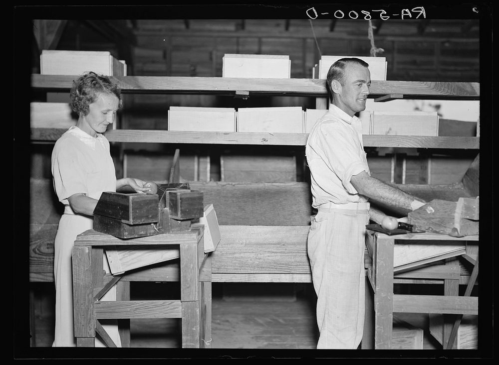 Two "fruit tramps" packing tomatoes. Deerfield, Florida. Sourced from the Library of Congress.