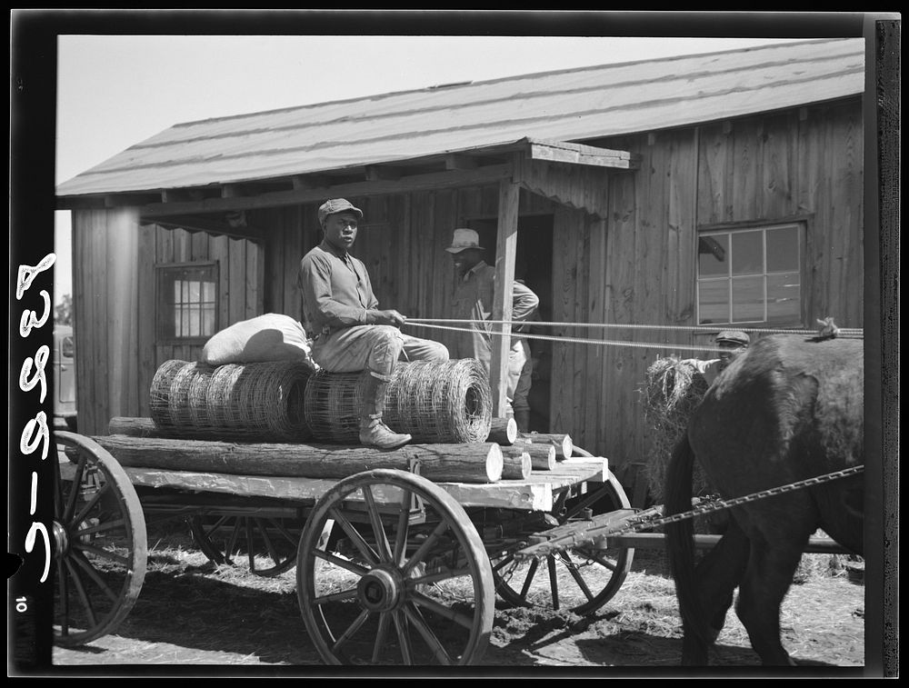 Farmer with cotton seed, fence posts and wire. These supplies were bought cooperatively at Roanoke Farms, North Carolina.…