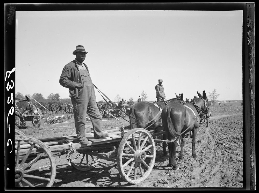 Farmer waiting for supplies which he is buying cooperatively at Roanoke Farms, North Carolina. Sourced from the Library of…