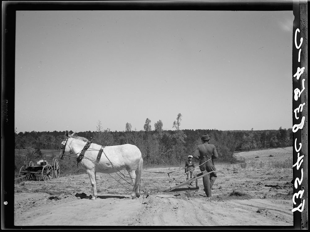 Plowing. Guilford County, North Carolina. Sourced from the Library of Congress.