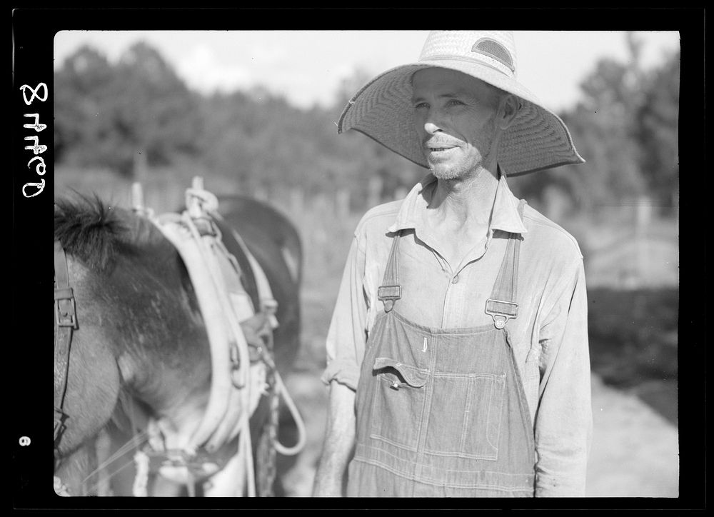 Farmer at Irwinville Farms, Georgia. Sourced from the Library of Congress.