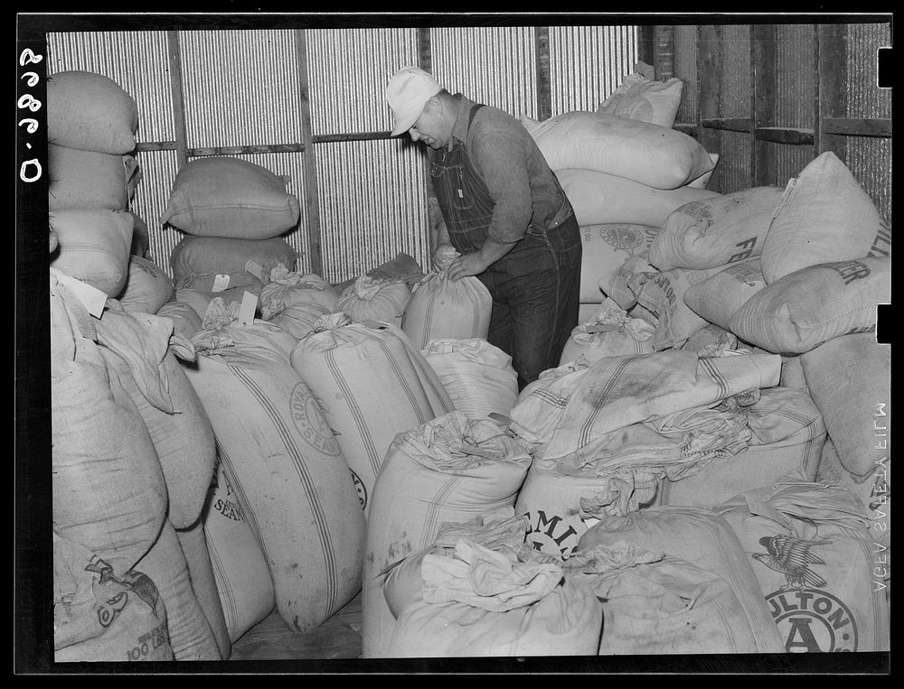 Interior of farmer's union co-op elevator. Centralia, Kansas. Sourced from the Library of Congress.