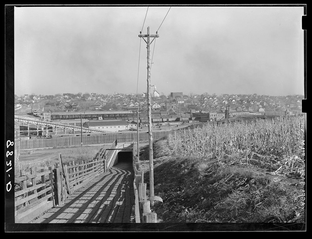 Tunnel through which cattle go from stockyards to slaughter house. South Omaha, Nebraska. Sourced from the Library of…