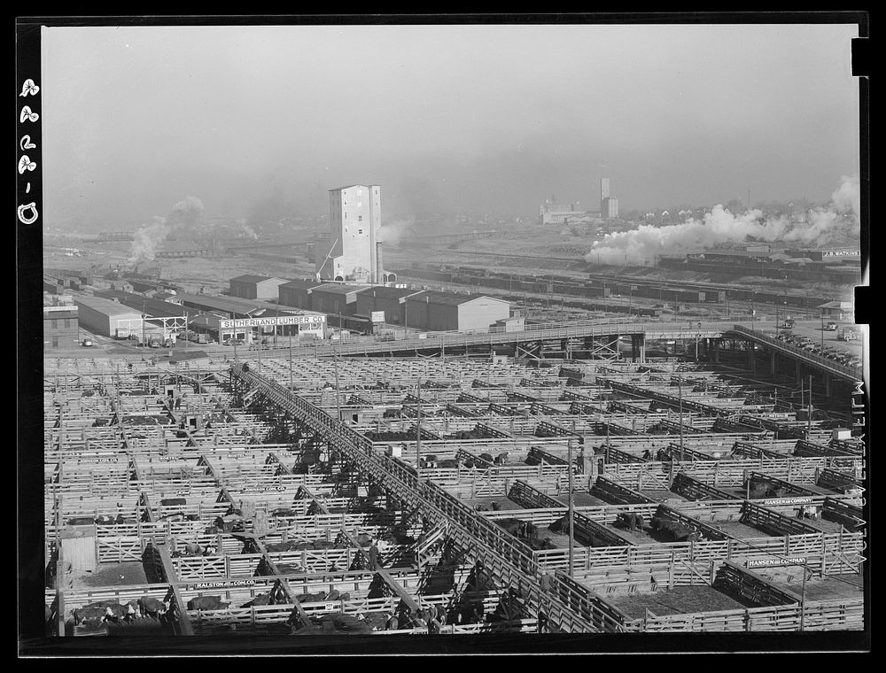Stockyards. Omaha, Nebraska. Sourced from the Library of Congress.
