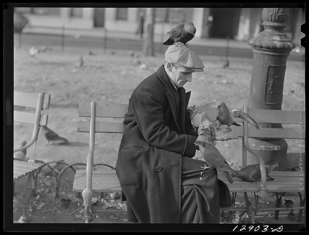 New York, New York. This man feeds the pigeons in Washington Square regularly. Sourced from the Library of Congress.