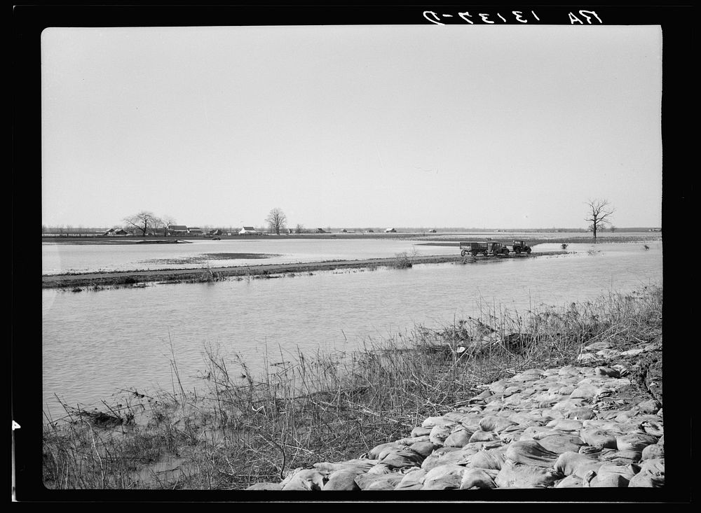 Submerged farmland at Bessie Levee near Tiptonville, Tennessee, during the 1937 flood. Sourced from the Library of Congress.