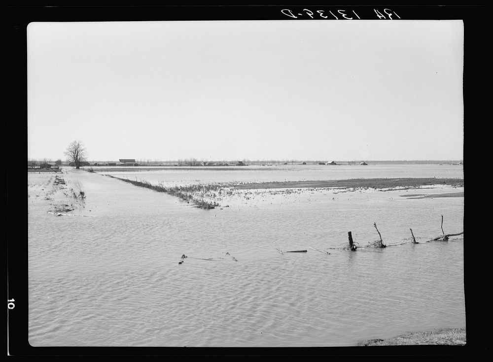 Submerged farmland at Bessie Levee near Tiptonville, Tennessee, during the 1937 flood. Sourced from the Library of Congress.