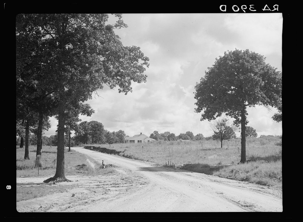 [Untitled photo, possibly related to: House at Magnolia Homesteads, Mississippi]. Sourced from the Library of Congress.
