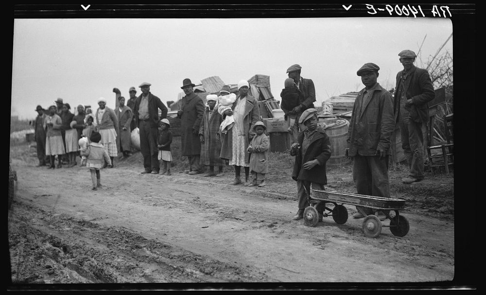 Parkin (vicinity), Arkansas. The families of evicted sharecroppers of the Dibble plantation. They were legally evicted the…