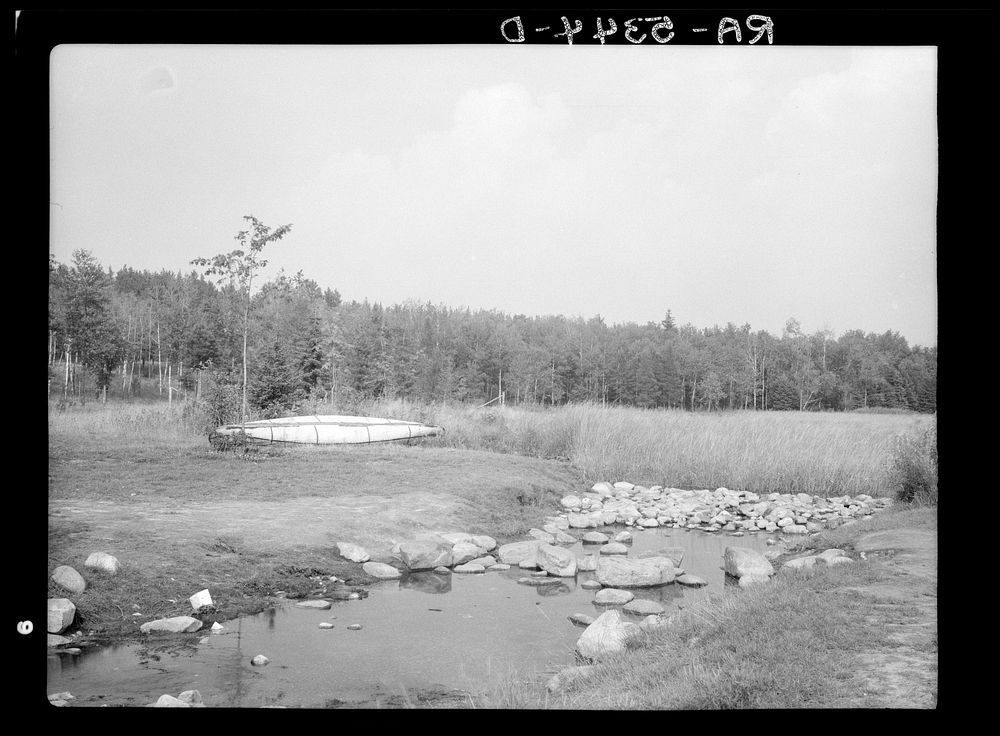 [Untitled photo, possibly related to: Source of the Mississippi River. Lake Itasca, Minnesota]. Sourced from the Library of…