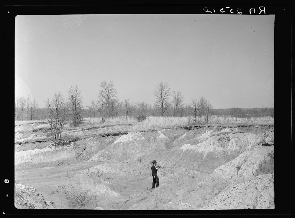 [Untitled photo, possibly related to: Erosion gully on Coalins Forest and Game Reservation between Tennessee and Cumberland…