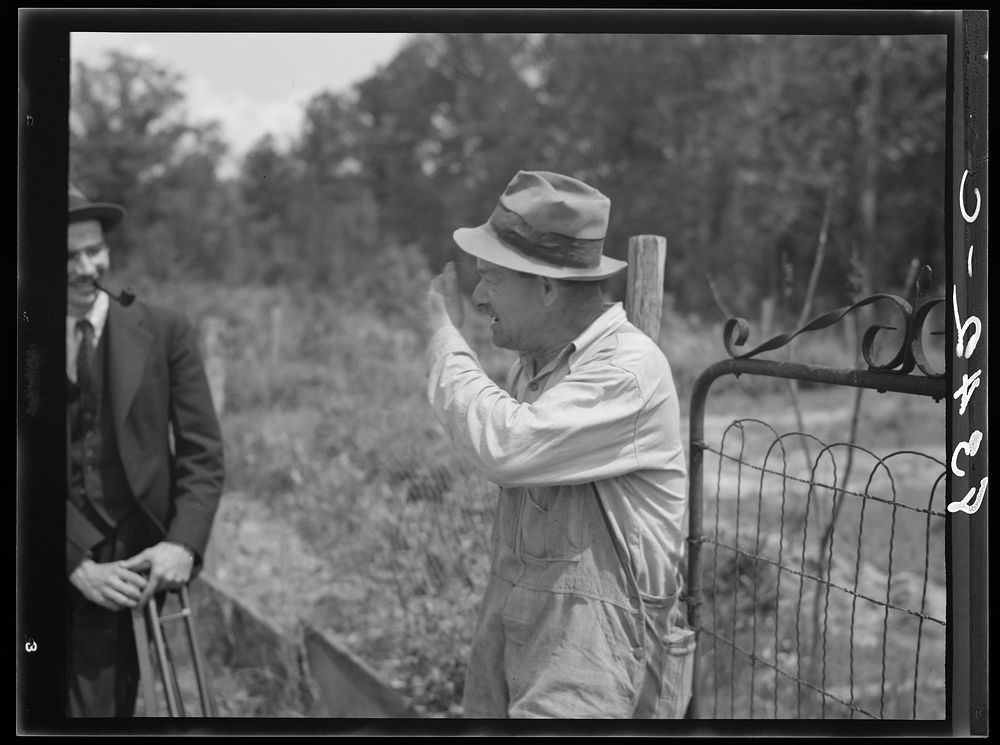 [Untitled photo, possibly related to Farms of Farm Security Administration clients, Guilford and Beaufort Counties, North…