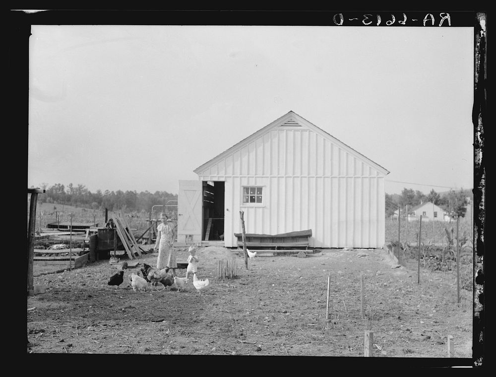 [Untitled photo, possibly related to: One of the Palmerdale Homesteads near Birmingham, Alabama]. Sourced from the Library…