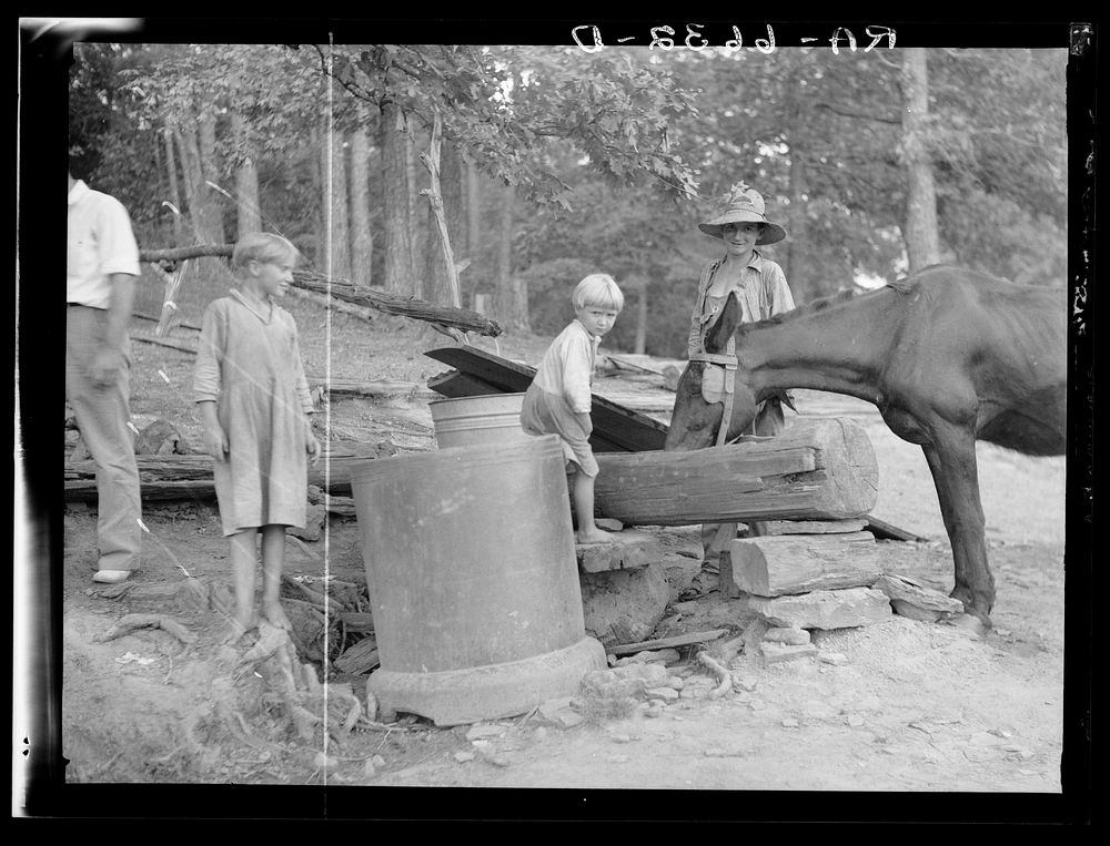 [Untitled photo, possibly related to: "Griffin children" of west Alabama land use demonstration project near Greensboro…