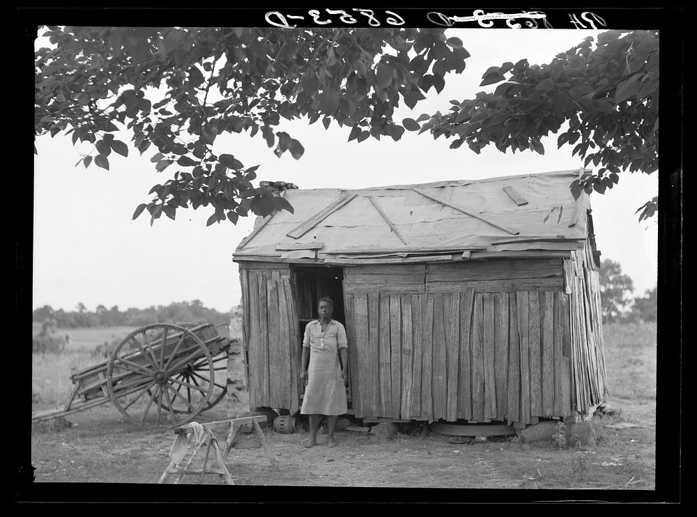 [Untitled photo, possibly related to: Lady's Island off Beaufort, South Carolina]. Sourced from the Library of Congress.
