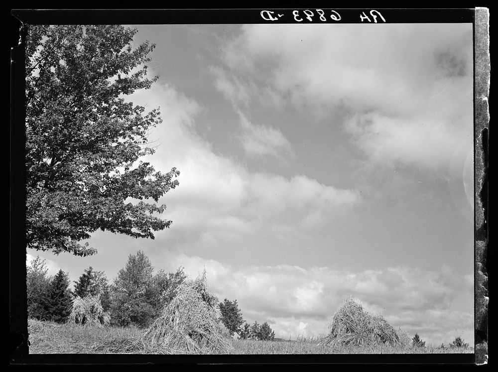 [Untitled photo, possibly related to: Vermont farm scene]. Sourced from the Library of Congress.