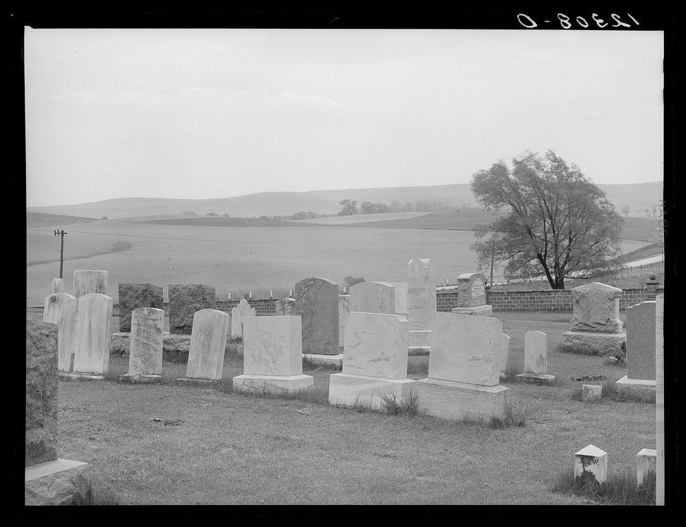 [Untitled photo, possibly related to: Cemetery in Pennsylvania countryside]. Sourced from the Library of Congress.