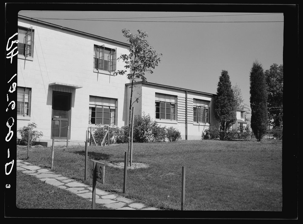[Untitled photo, possibly related to: Greenbelt, Maryland. Rear views of houses]. Sourced from the Library of Congress.