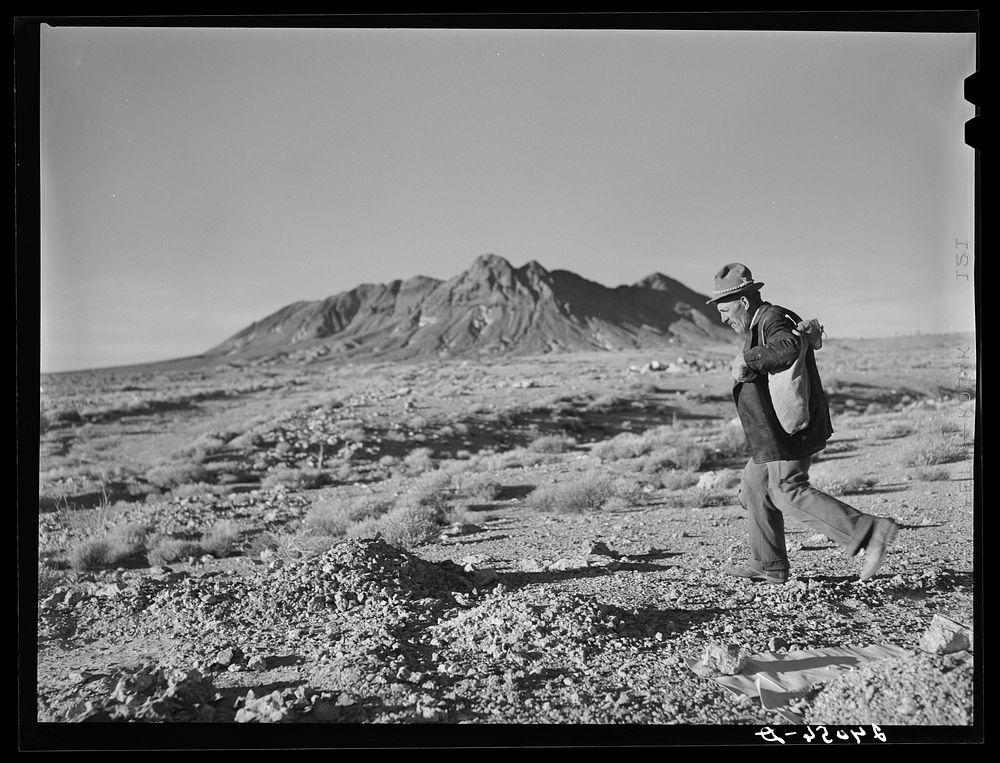 [Untitled photo, possibly related to: Rocky Mountain George, old prospector, born in badlands of Wyoming. Esmeralda County…