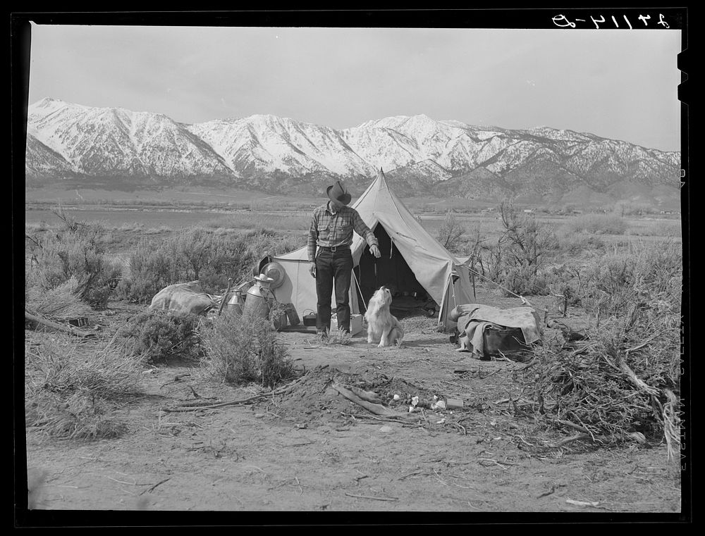 Sheepherder and dog. Dangberg Ranch, Douglas County, Nevada. Sourced from the Library of Congress.