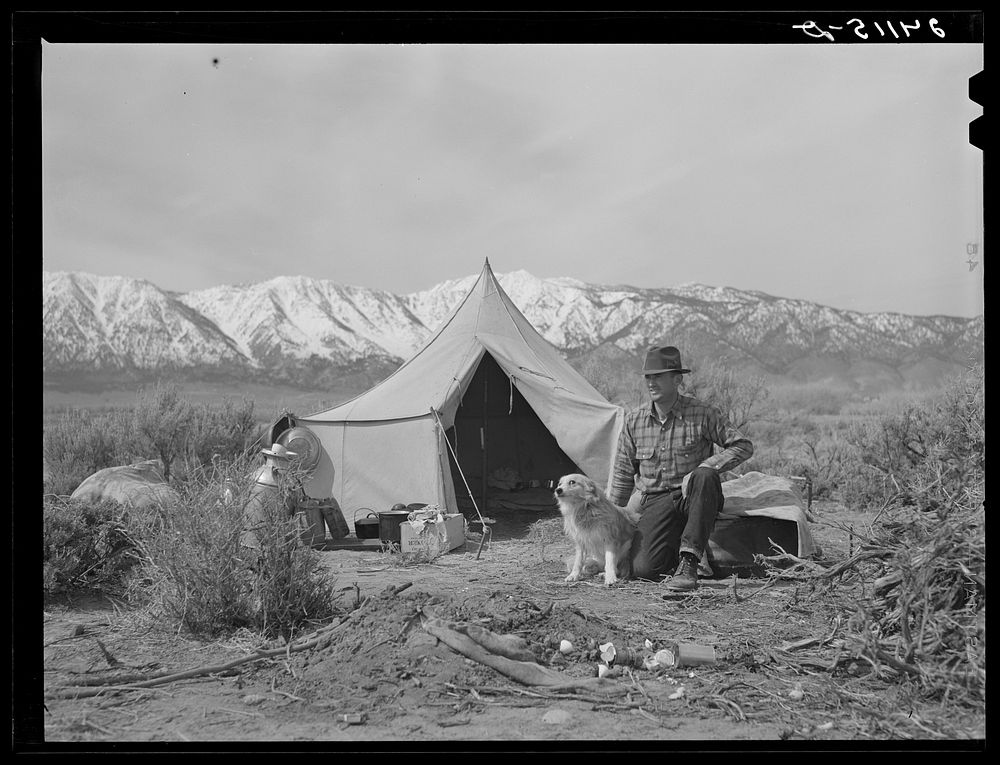 Basque sheepherder camped on the range. Dangberg Ranch, Douglas County, Nevada. Sourced from the Library of Congress.