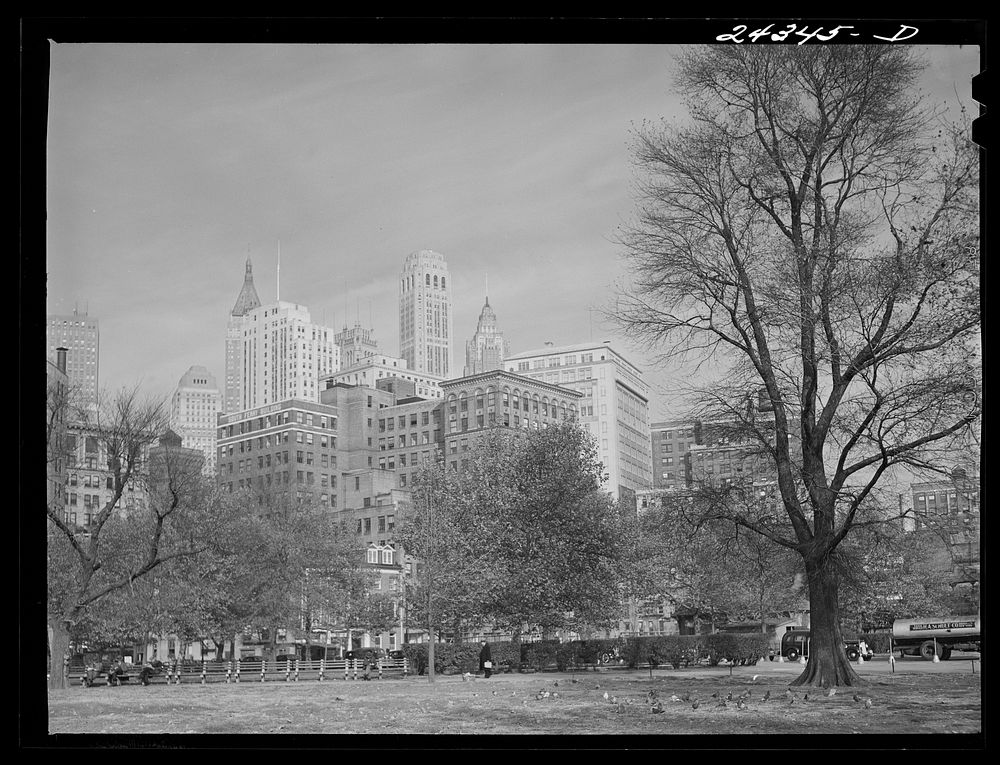 View of downtown Manhattan from Battery Park. New York City. Sourced from the Library of Congress.