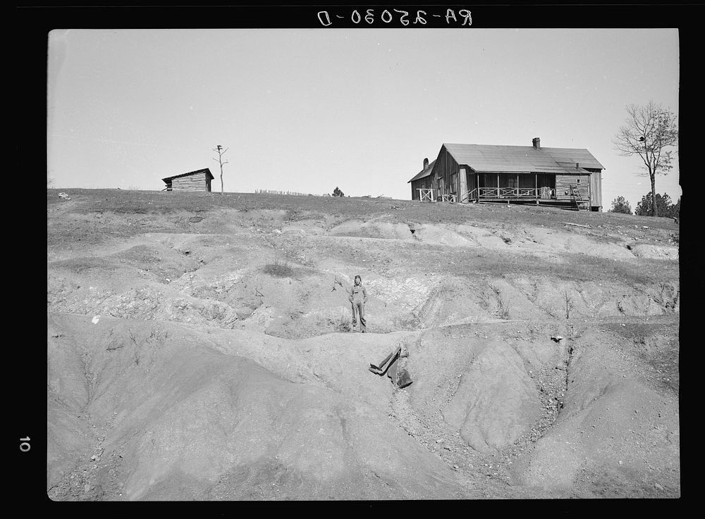 Eroded land on company-owned farm near Birmingham, Alabama. Sourced from the Library of Congress.