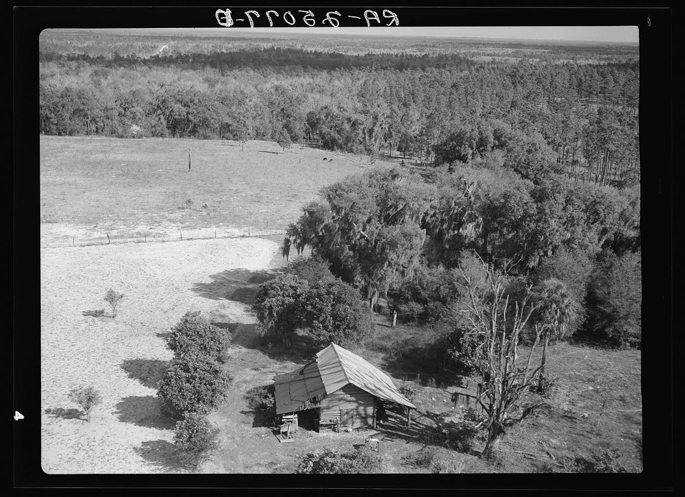 Submarginal farm near Withlacoochee Land Use Project, Florida. Sourced from the Library of Congress.