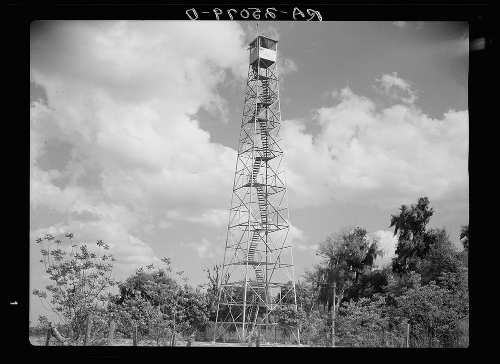 Tower used for detecting forest fires on resettlement project. Withlacoochee Land Use Project, Florida. Sourced from the…