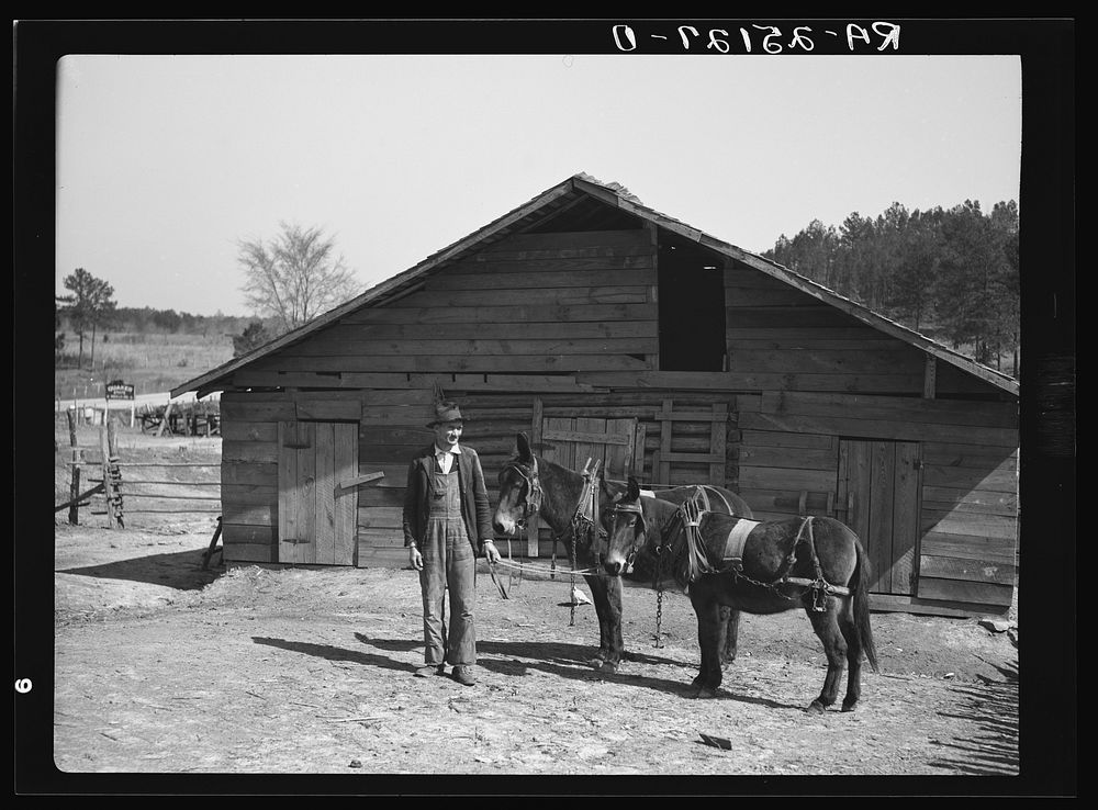 Joe Handley at his barn. Walker County, Alabama. Sourced from the Library of Congress.