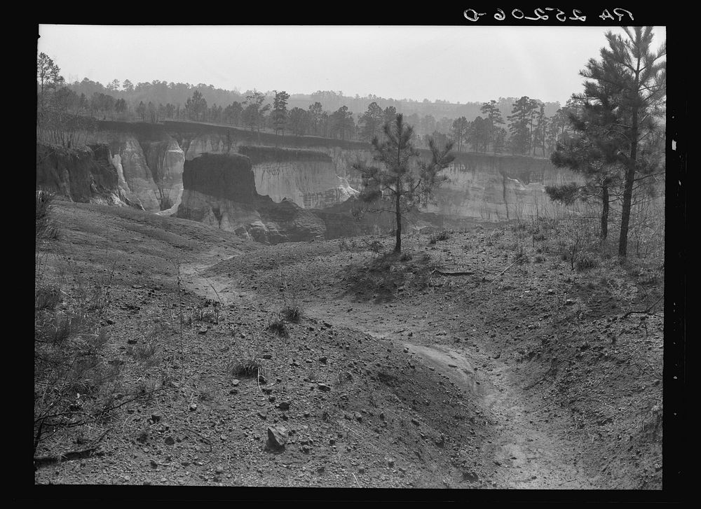 Erosion. Stewart County, Georgia. Sourced from the Library of Congress.