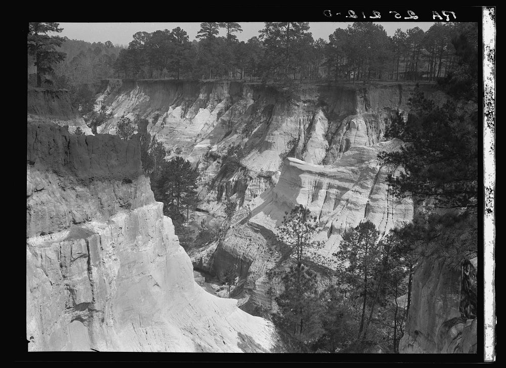 [Untitled photo, possibly related to: Erosion. Stewart County, Georgia]. Sourced from the Library of Congress.