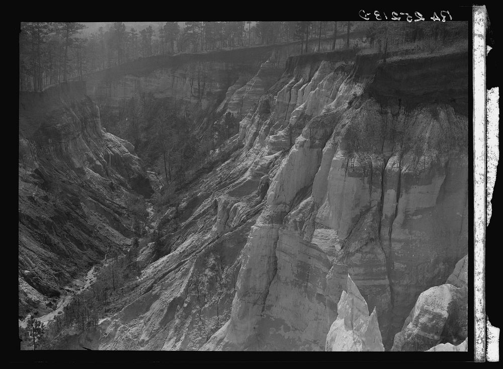 [Untitled photo, possibly related to: Erosion. Stewart County, Georgia]. Sourced from the Library of Congress.