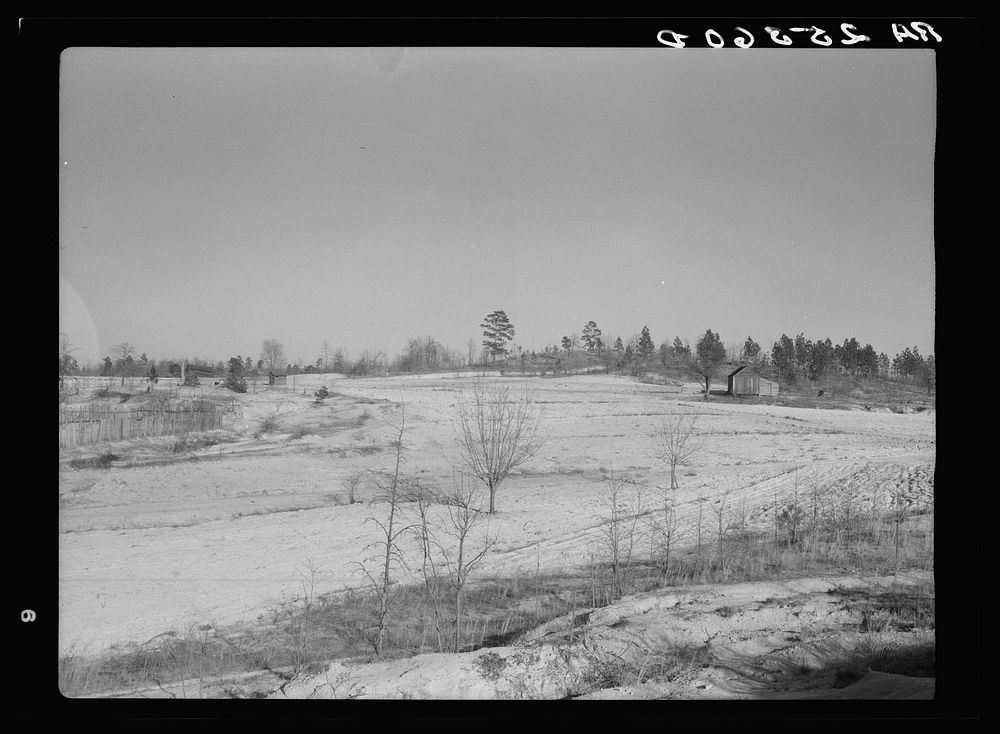 Cultivated land at Gees Bend, Alabama. Sourced from the Library of Congress.