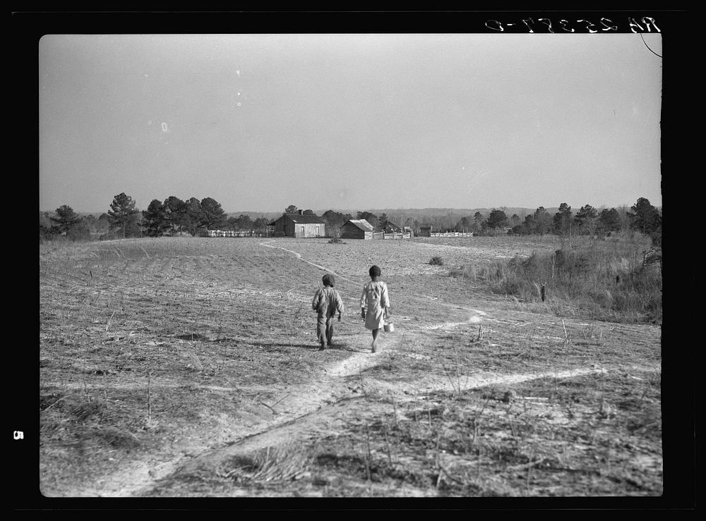 Footpaths across the field connect the cabins. Gees Bend, Alabama. Sourced from the Library of Congress.