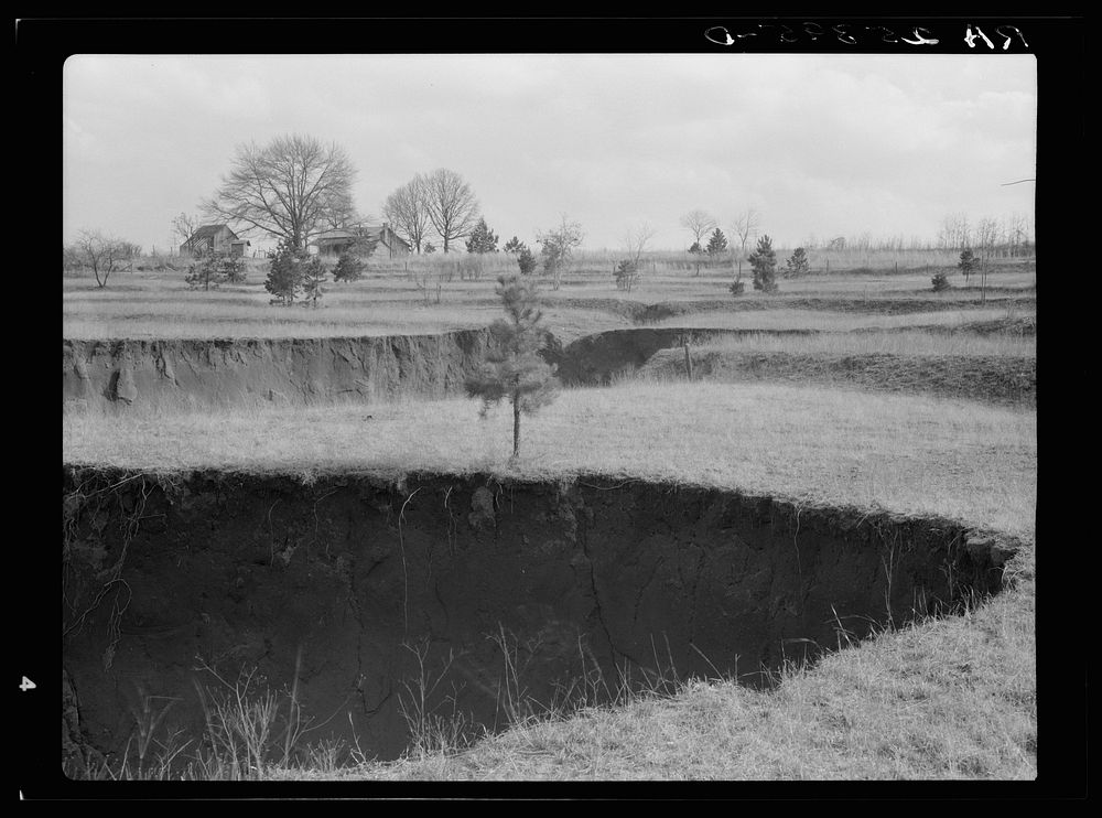 [Untitled photo, possibly related to: Erosion. Cotton was grown on this field until twenty-five years ago. Note terraces.…