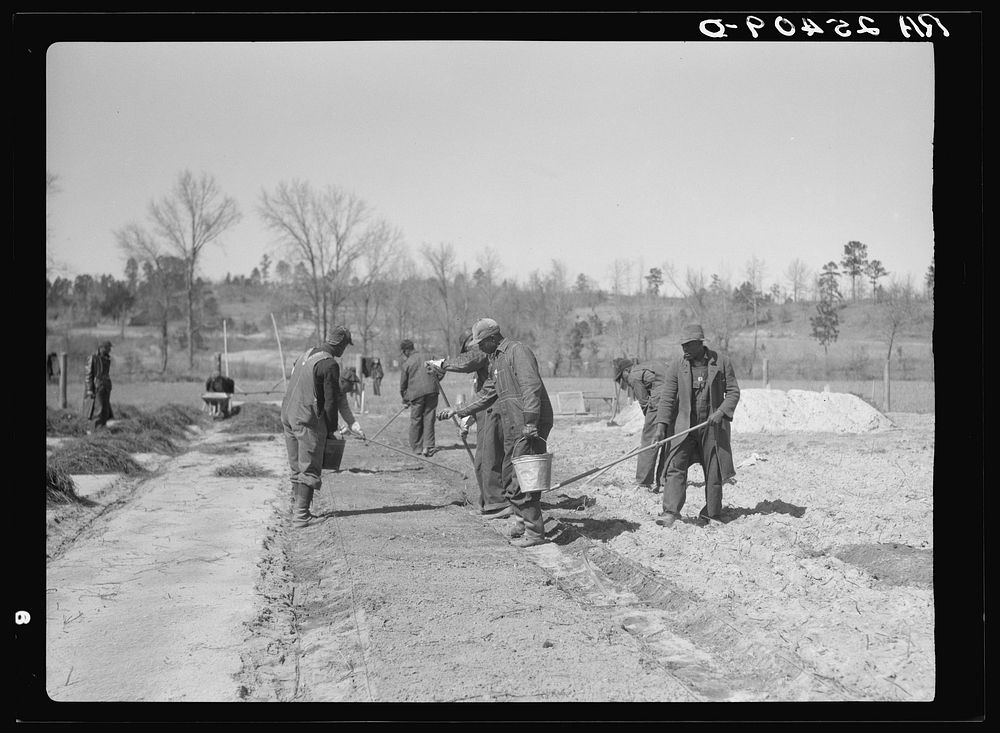 Work on reforestation project. Tuskegee Project, Macon County, Alabama. Sourced from the Library of Congress.