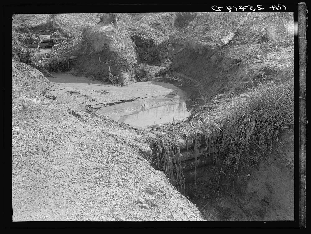 Gully erosion controlled by check dams. Tuskegee Project, Macon County, Alabama. Sourced from the Library of Congress.