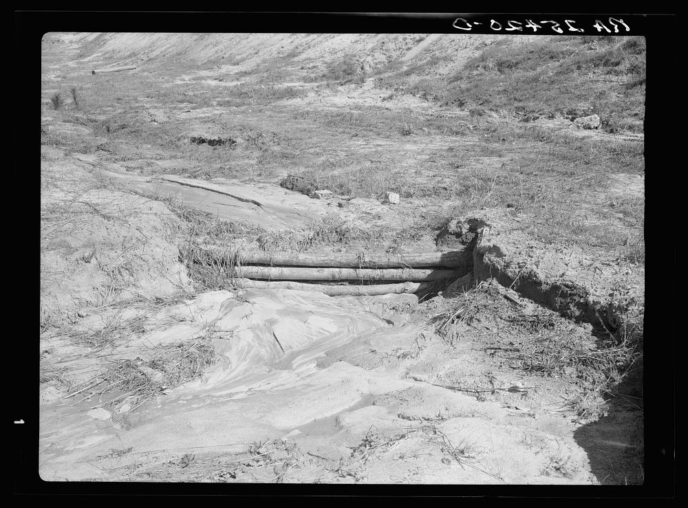Dam to control erosion. Tuskegee Project, Macon County, Alabama. Sourced from the Library of Congress.