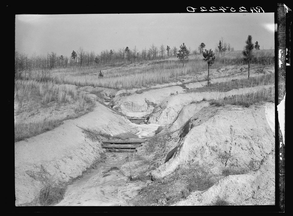 [Untitled photo, possibly related to: Dam to control erosion. Tuskegee Project, Macon County, Alabama]. Sourced from the…