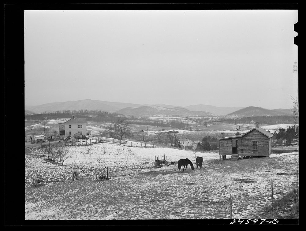 Farm along highway near Dickson, Tennessee. Sourced from the Library of Congress.