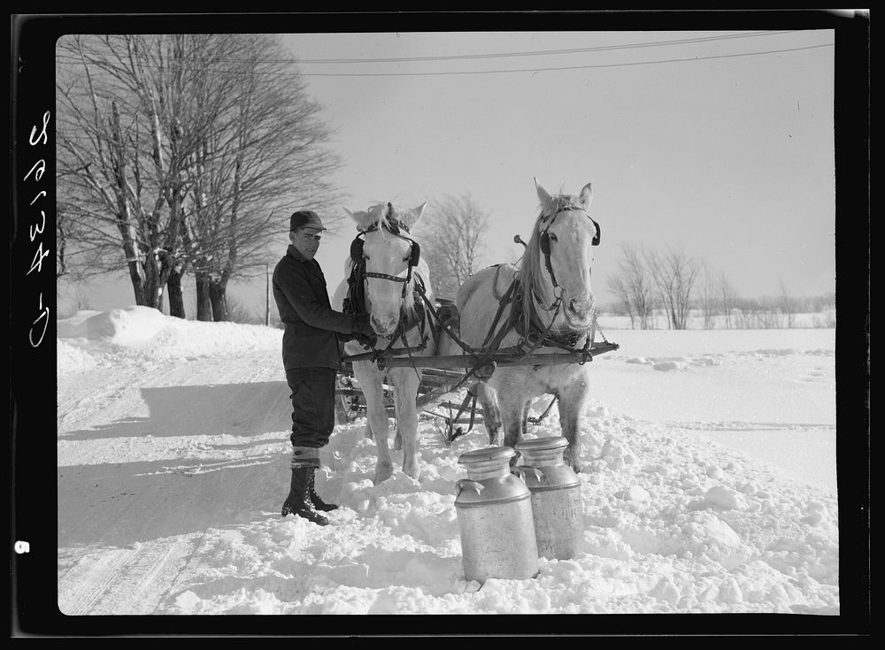 Loading milk cans. Oswego County, New York. Sourced from the Library of Congress.