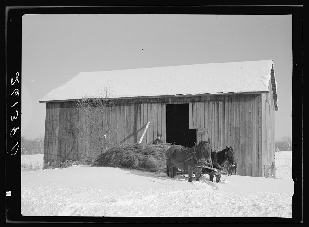 [Untitled photo, possibly related to: Loading hay. Oswego County, New York]. Sourced from the Library of Congress.